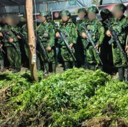 5.000 Batang Ganja Terungkap, TNI Habema Gagalkan Peredaran Narkotika 5.000 Batang Ganja Terungkap, TNI Habema Gagalkan Peredaran Narkotika