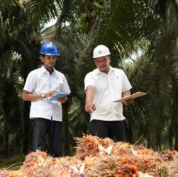 Holding Perkebunan Nusantara Perkuat Daya Saing SDM, PalmCo Targetkan 5.120 Sertifikasi Kompetensi