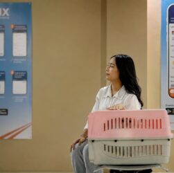 Dukung Gaya Hidup Masyarakat dan Kesejahteraan Hewan, KAI Logistik Layani Lebih dari 90 Ribu Hewan Peliharaan pada Semester I 2026 Dukung Gaya Hidup Masyarakat dan Kesejahteraan Hewan, KAI Logistik Layani Lebih dari 90 Ribu Hewan Peliharaan pada Semester I 2026