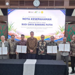 PTPN Group Akselerasi Swasembada Bawang Putih Nasional PTPN Group Akselerasi Swasembada Bawang Putih Nasional