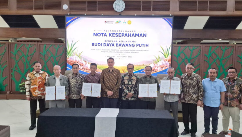PTPN Group Akselerasi Swasembada Bawang Putih Nasional PTPN Group Akselerasi Swasembada Bawang Putih Nasional