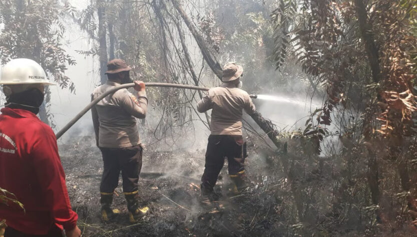 PTPN Group bersama Satgas Karhutla Kolaborasi Atasi Karhutla
