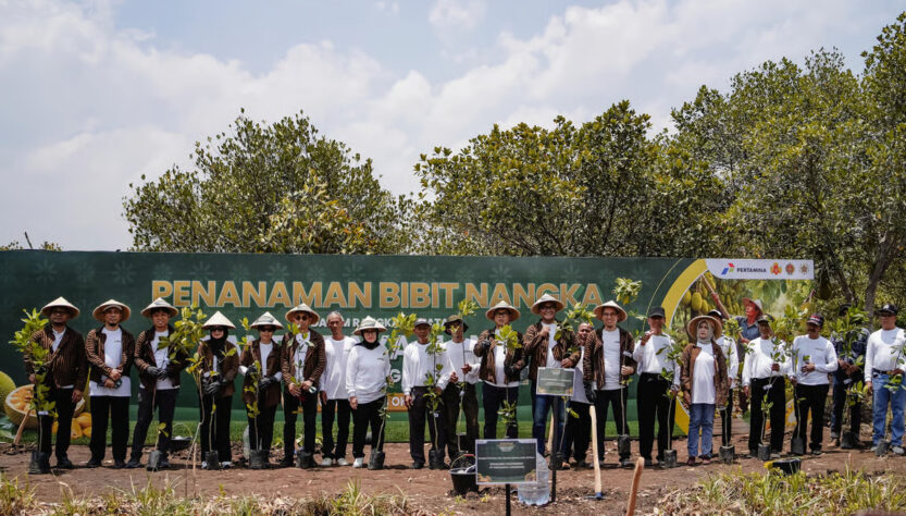 Perkuat Ketahanan Pangan dan Ekonomi Desa, Pertamina Gelar Panen Raya Nangka di Hutan Wanaboga Gunungkidul